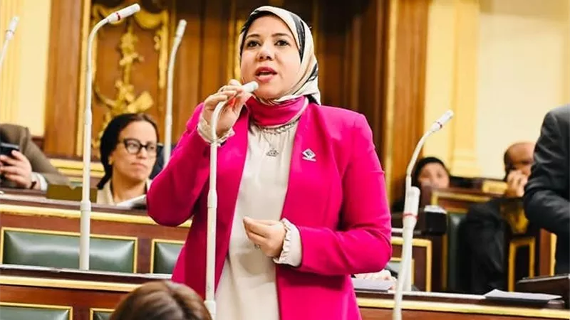 النائبة هيام الطباخ توافق على منحة أمريكية لخفض انبعاثات الميثان