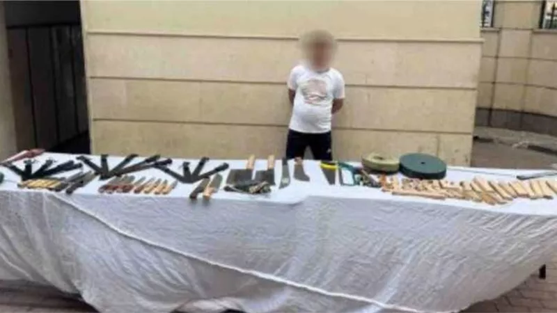 تفاصيل ضبط 36 قطعة سلاح داخل ورشة غير مرخصة في السيدة زينب 