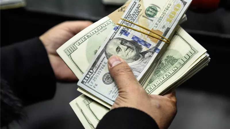 المركزي: 20.0 مليار دولار حصيلة تحويلات المصريين بالخارج خلال الشهور السبعة الأولى من السنة المالية 2024-2025