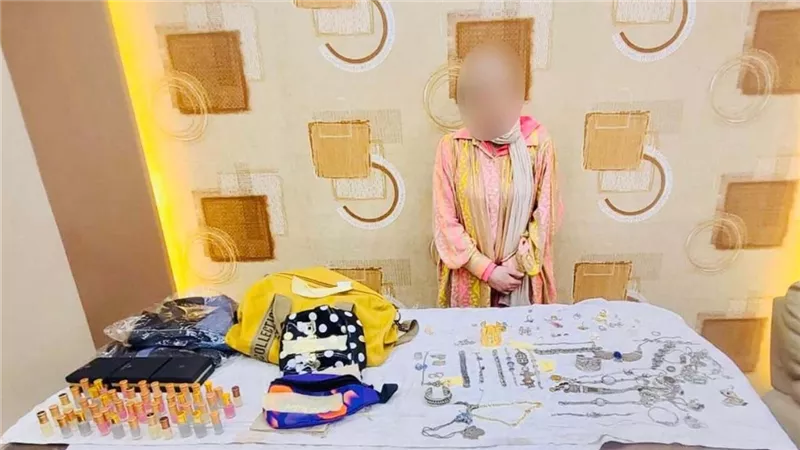 في الشروق والتجمع و15 مايو.. سقوط لصوص آخر الليل بـ قبضة مباحث القاهرة  (صور)