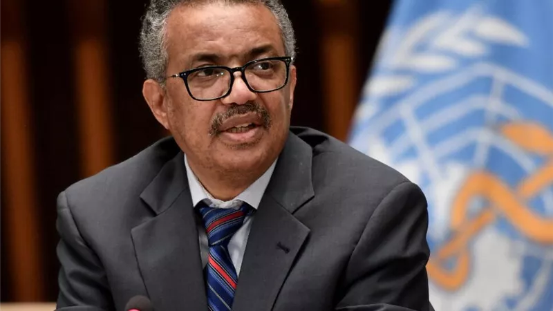 مدير منظمة الصحة العالمية يشيد بجهود مصر في التوصل لاتفاق دولي لمواجهة الجوائح