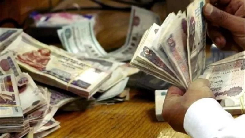 قبل خفض الفائدة.. تعرف على أعلى 5 شهادات ادخار في مصر