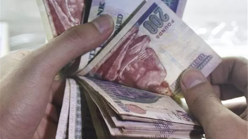 قبل اجتماع المركزي.. أعلى 5 حسابات توفير بعائد شهري في 2025