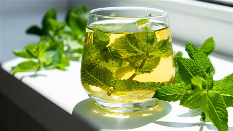 زيت النعناع.. طريقة طبيعية وفعالة لعلاج أعراض القولون العصبي