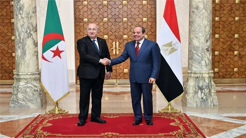 وزير الخارجية يسلم رسالة خطية من السيسي إلى الرئيس الجزائري