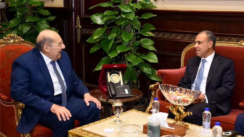وزير الخارجية يلتقي رئيس مجلس الشيوخ ويؤكد دعم المصريين بالخارج