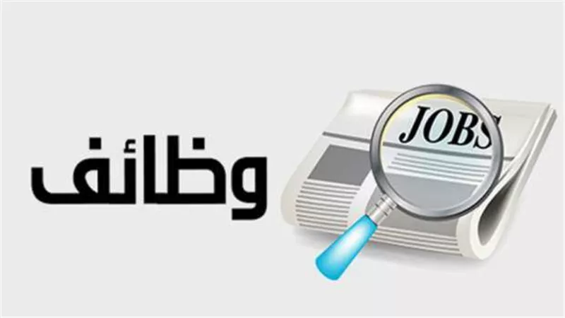 إطلاق أول منصة للمهن والتوظيف في مصر.. ما التفاصيل؟