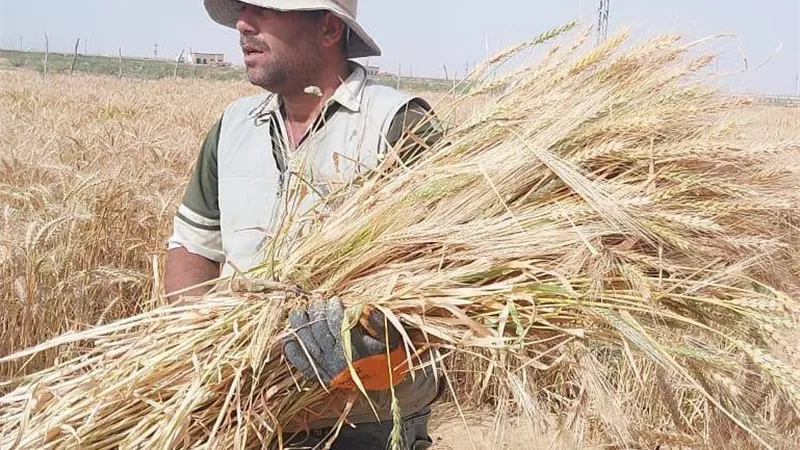  أبرز المعلومات عن مبادرة 