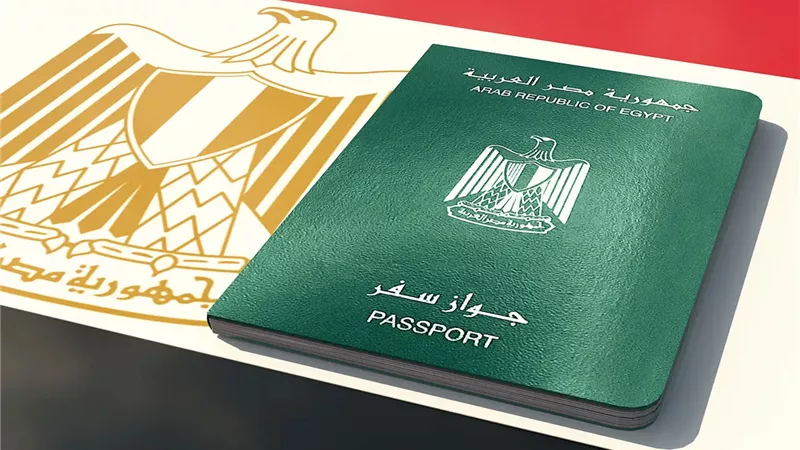 وزير الداخلية يقرر إبعاد سوريين خارج البلاد لدواعٍ تتعلق بالصالح العام