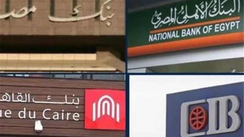 البنوك المصرية تحقق فائضا قدره 2.5 مليار دولار في الأصول الأجنبية: خبير يكشف الأسباب