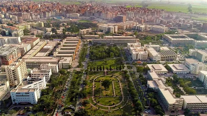 أول برنامج ماجستير دولي لذوي الهمم.. جامعة المنصورة تزف بشرى سارة