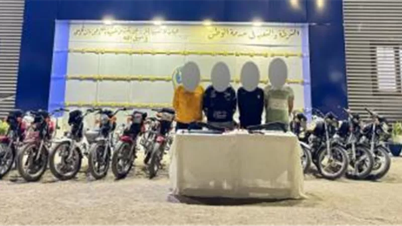 سقوط تشكيلين عصابيين بالوادي الجديد والدقهلية تورطا في 31 جريمة سرقة
