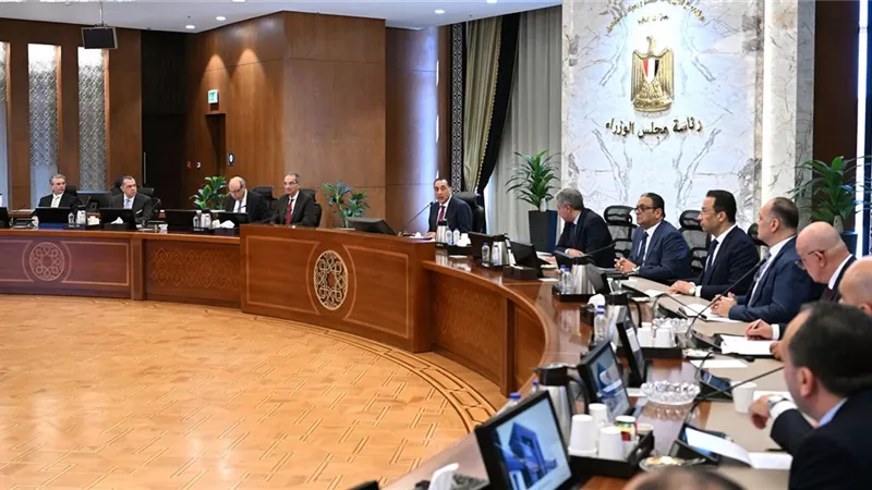 الحكومة تعدل قائمة أنواع الكلاب الخطرة من 16 نوعا لـ3 فقط