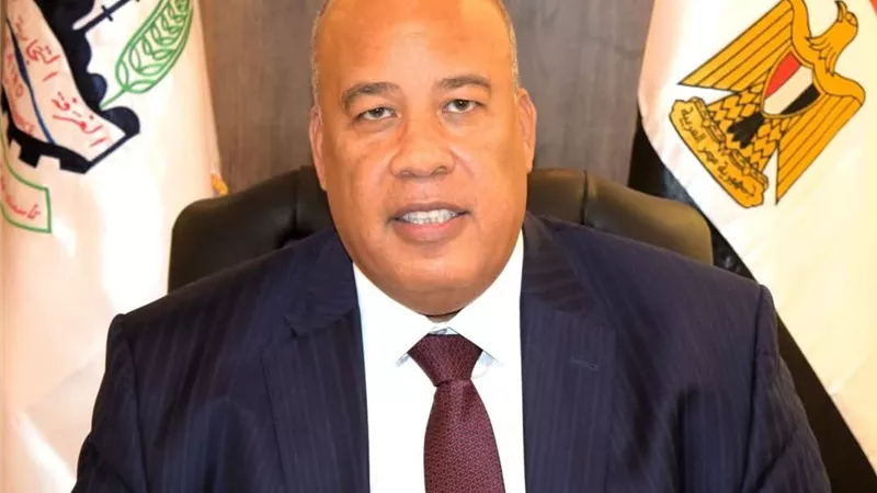أيمن العشري وأحمد عبد الحميد بمجلس تحديث الصناعة بعد قرار وزاري جديد