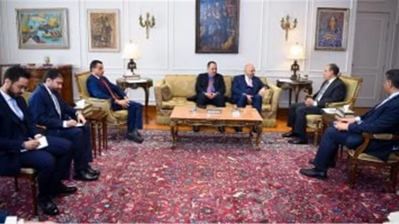 وزير الخارجية يستقبل رئيس المفاوضات الحكومية لإصلاح مجلس الأمن
