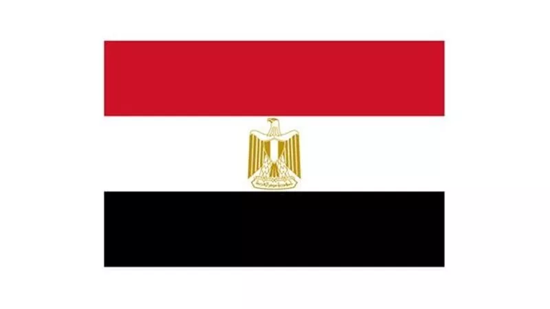مصر تدين الهجوم على الجيش الإكوادوري وتقدم التعازي
