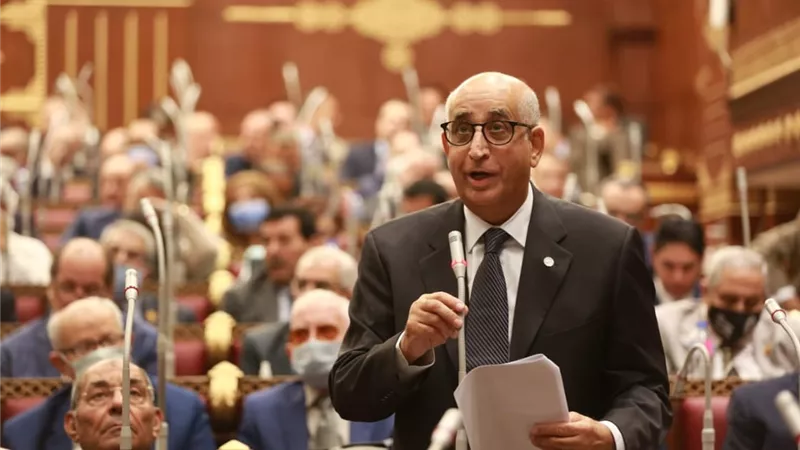 نائب بالشيوخ: التقاضي عن بُعد نقلة نوعية لتحقيق عدالة ناجزة وشفافة