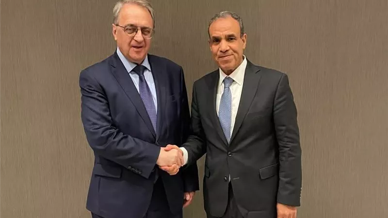 مصر وروسيا تبحثان التعاون الثنائي وتطورات الأوضاع في غزة وليبيا