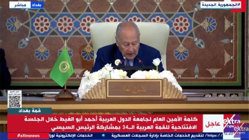 أبو الغيط: من العار أن يصمت العالم أمام جرائم إسرائيل