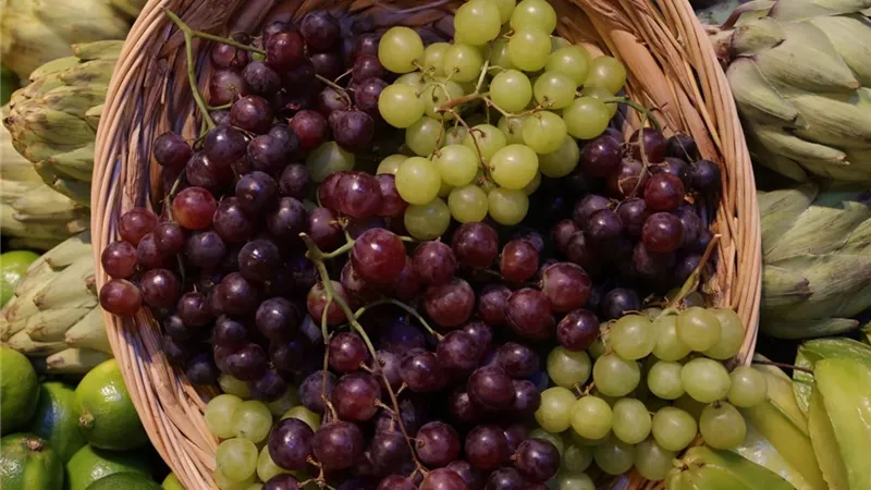 تعزيز الصحة العامة.. ماذا تعرف عن فوائد تناول العنب ؟