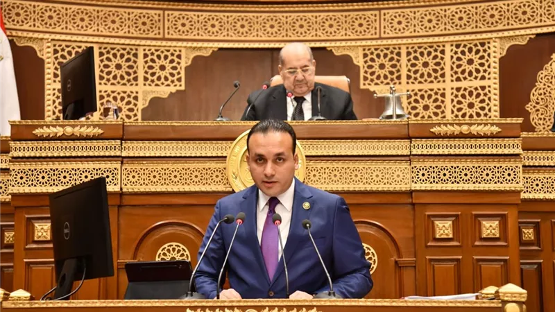 برلماني: 30 يونيو لحظة فاصلة أنقذت الوطن واستعادت الدولة