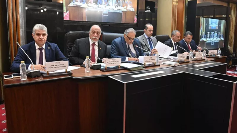 وزير الشؤون النيابية: الموافقة الحكومية على تعديل قانون النواب كانت فورية