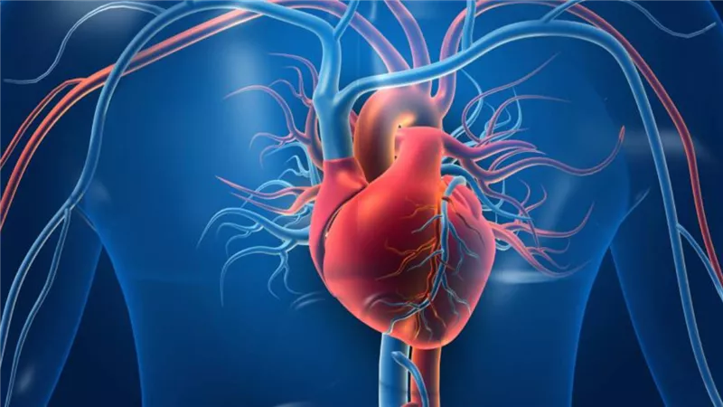 قلبك في خطر.. دراسة جديدة تحذر من قلة النوم للشباب الأصحاء 