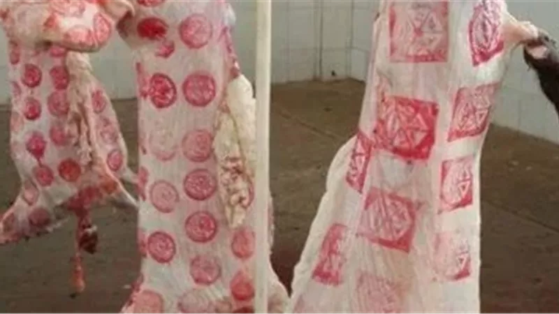 قبل الشراء.. 3 أنواع من الأختام تضمن لك جودة اللحوم وسلامتها