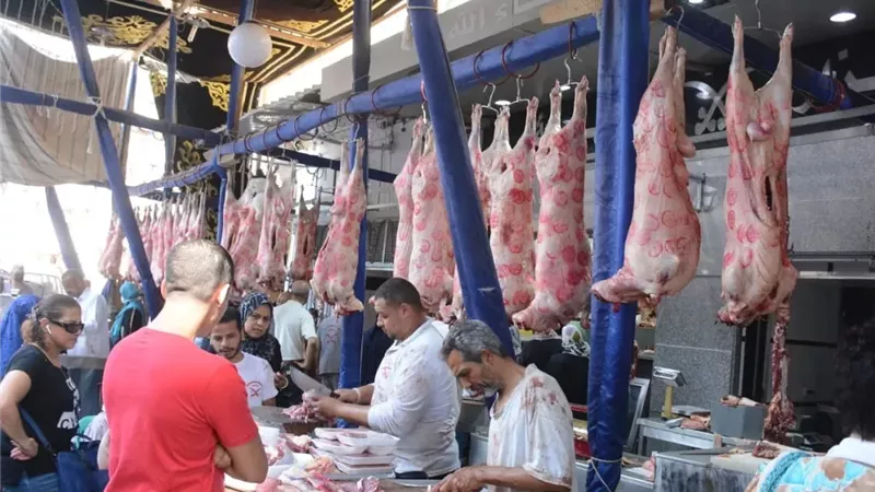 بتخفيضات 20%.. التموين تطرح منتجات اللحوم والأسماك بمناسبة أعياد الميلاد