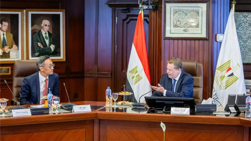 محافظ 