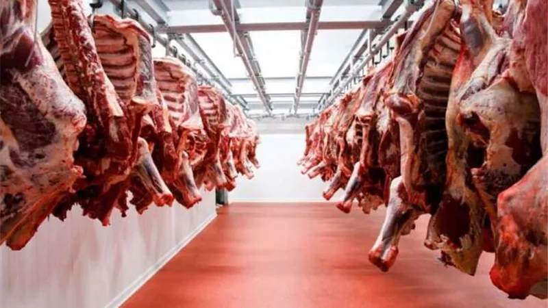 خريطة المجازر الحكومية المفتوحة خلال عيد الأضحى 2025.. تفاصيل 