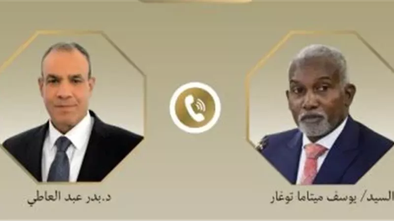 مصر ونيجيريا تبحثان تعزيز التعاون ومواجهة الإرهاب في الساحل