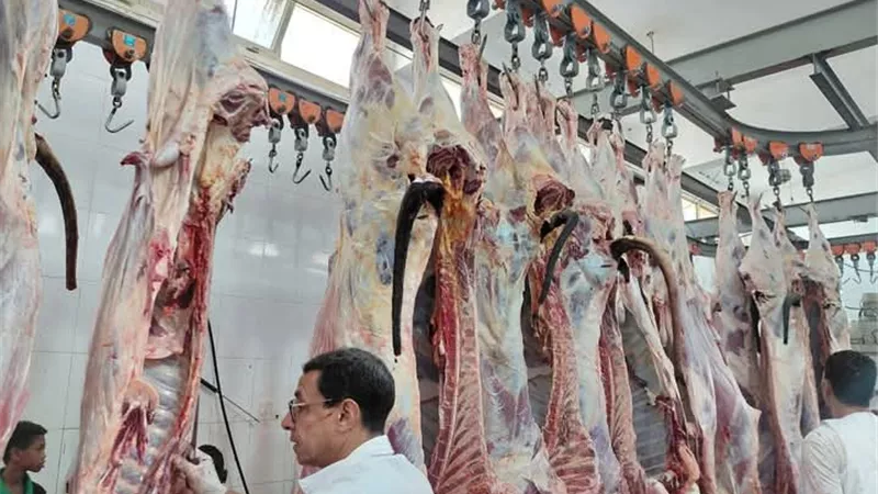 الزراعة: ذبح أكثر من 20 ألف أضحية بالمجازر الحكومية 