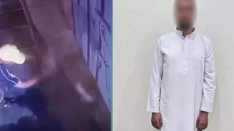 فيديو مفبرك لتعذيب قطة يوقع بصاحبه.. والأمن يكشف الحقيقة