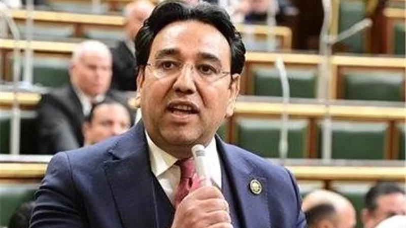 وكيل لجنة الشؤون العربية بالنواب: بيان الخارجية يعكس حرص الدولة على تحقيق التوازن 