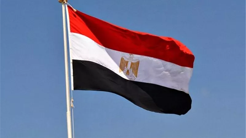 مصر تشارك في اجتماعات G20 البحثية وتعرض تجربتها في الجينوم المرجعي
