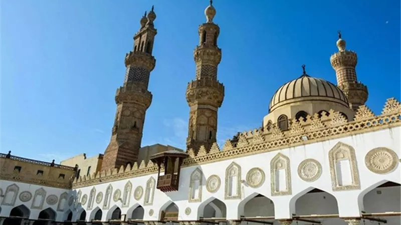 تضامن برلماني مع موقف الأزهر ضد الأئمة الأوروبيين: صفعة على وجوههم  