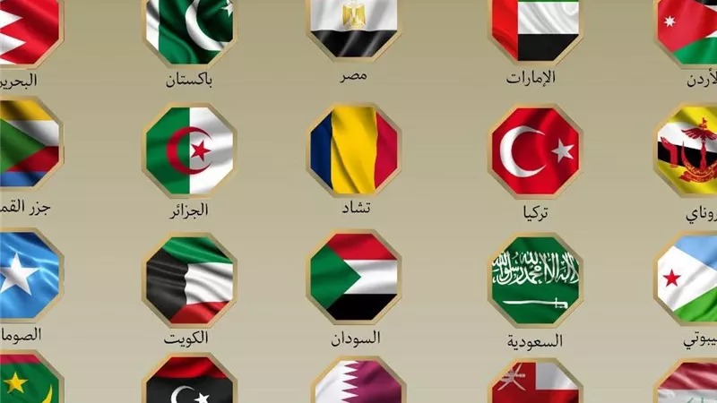 عاجل.. بيان مشترك لمصر ودول عربية وأفريقية بشأن العدوان الإسرائيلي على إيران
