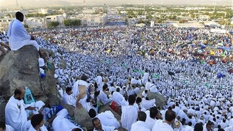 غدًا.. مصر للطيران تُسيّر 17 رحلة لعودة الحجاج من السعودية