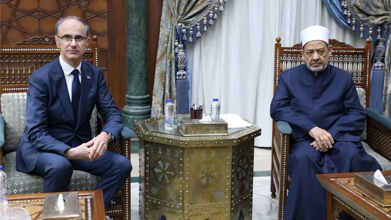 شيخ الأزهر يبحث مع رئيس وزراء صربيا دعم مسلمي البلقان