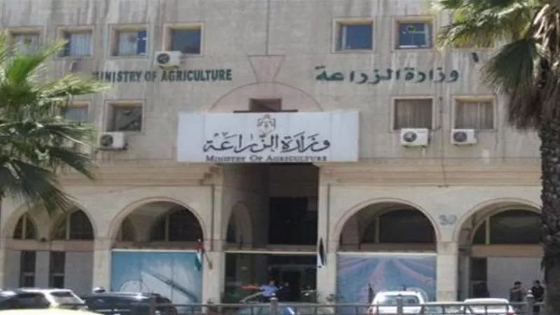 الزراعة عن وجود عجز في خامات الأعلاف: سوق الدواجن واللحوم والألبان مستقر