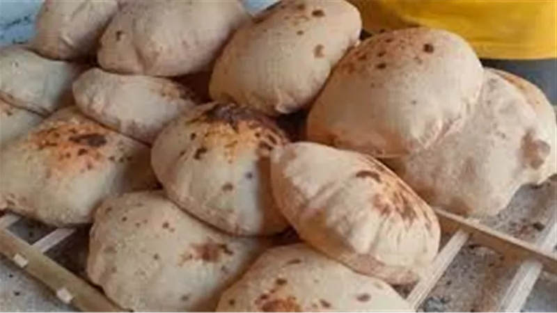 هل يرتفع سعر رغيف الخبز بعد زيادة أسعار السولار.. رئيس الشعبة يجيب 
