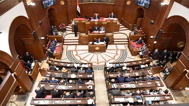 العد التنازلي لانتخابات الشيوخ.. تعرف على الإجراءات المتبقية وإعلان النتيجة النهائية