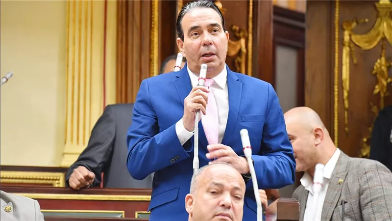 أبو العلا: احترام حكم القضاء أولوية.. وننتظر مشاركة واسعة في الأيام الحاسمة