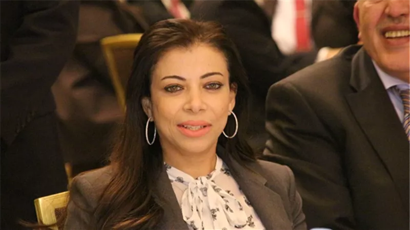 مجلس الدولة وهروب المستثمرين وفشل إداري.. أخطاء فادحة أطاحت بـ