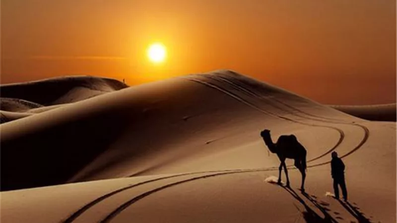 وزير الأوقاف يشهد احتفال العام الهجري الجديد من مسجد الإمام الحسين