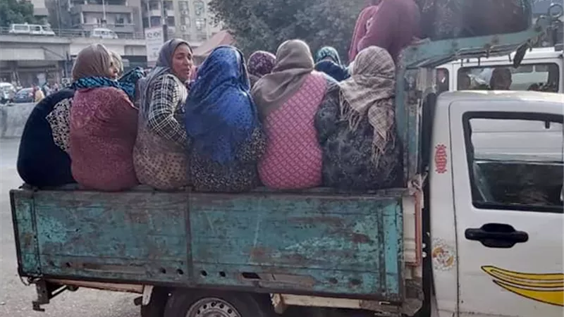 5 آلاف جنيه غرامة.. نائب يطالب بحظر نقل الركاب بسيارات نصف النقل