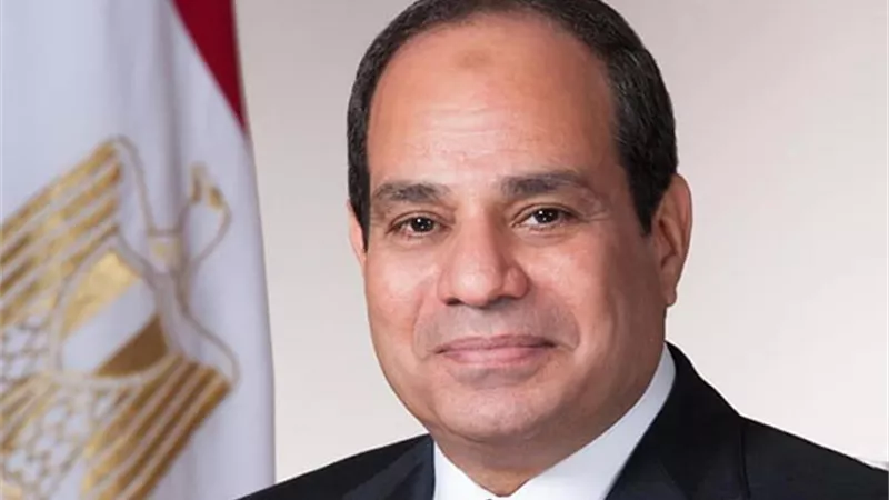مصر القومي : كلمة الرئيس بالقمة التنسيقية للاتحاد الافريقي تطرقت للتحديات الاقتصادية للقارة ورؤية العلاج لتجاوزها