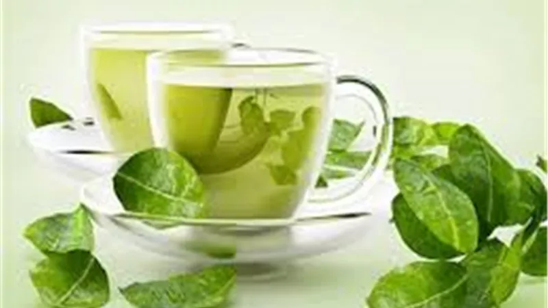 فوائد الشاي الأخضر بالنعناع.. مشروب يعزز الهضم ويساعد في إنقاص الوزن