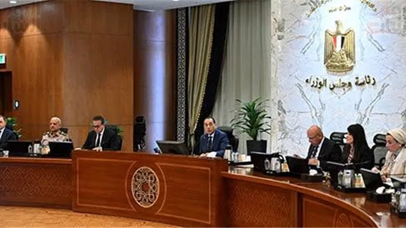 الوزراء: المستشفيات الحكومية ستظل مملوكة للدولة